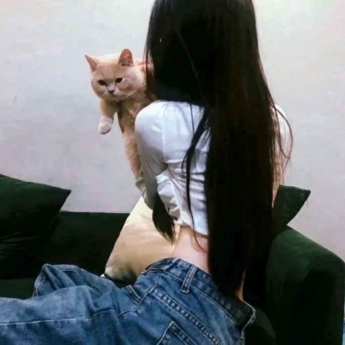 丑闻笔记